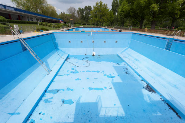 Best Flood restoration services  in Blountville, TN